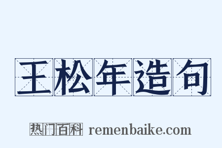 王松年造句是什么意思的图片